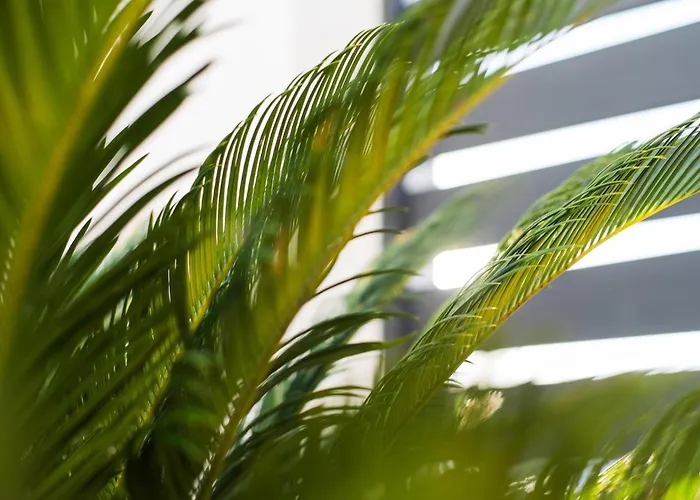 Delsol - Modern Private Pool Short Walk To