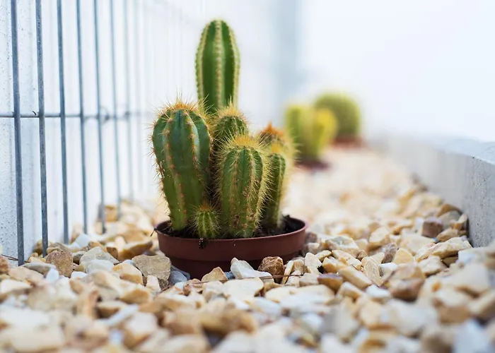 Delsol - Modern Private Pool Short Walk To 토레몰리노스