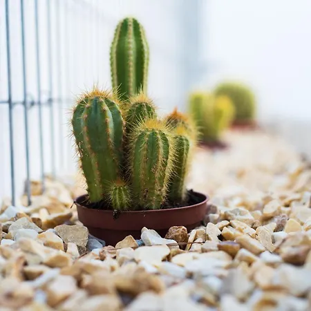 Delsol - Modern Private Pool Short Walk To טורמולינוס