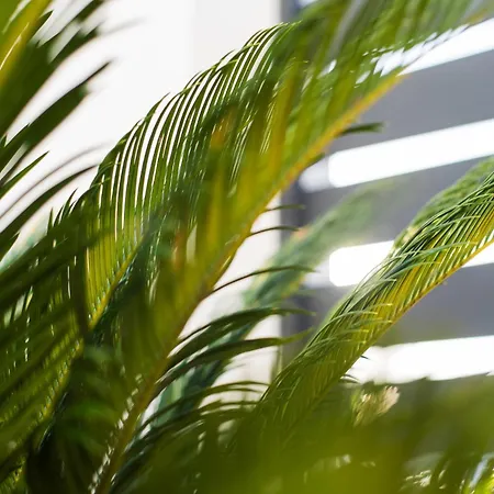 Delsol - Modern Private Pool Short Walk To